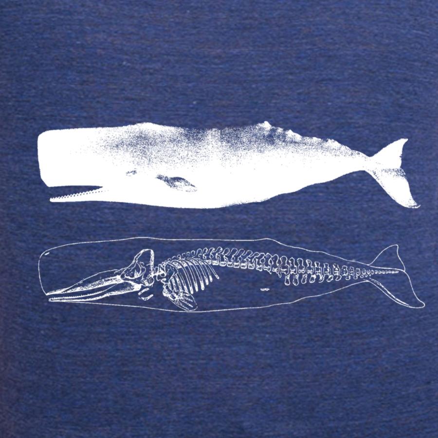 A stylish women's tee featuring a unique whale and skeleton graphic design, perfect for casual wear.