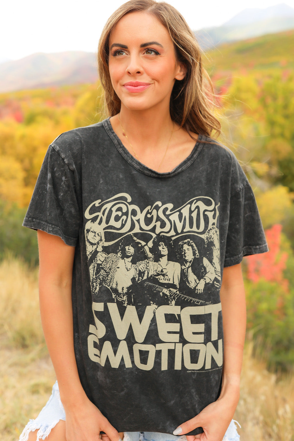 Aerosmith Sweet Emotion band shirt in mineral wash black, made from 100% organic cotton, featuring a vintage design.