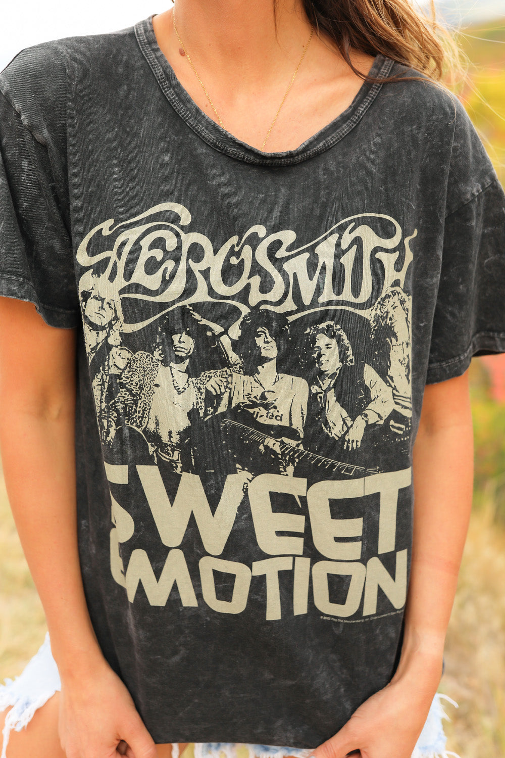 Aerosmith Sweet Emotion band shirt in mineral wash black, made from 100% organic cotton, featuring a vintage design.