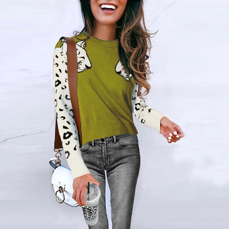 A stylish women's animal print casual pullover featuring full-length sleeves and an O-neck collar, perfect for winter streetwear.