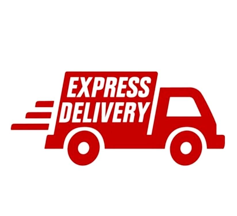 A package being delivered quickly with express shipping service, showcasing speed and efficiency.