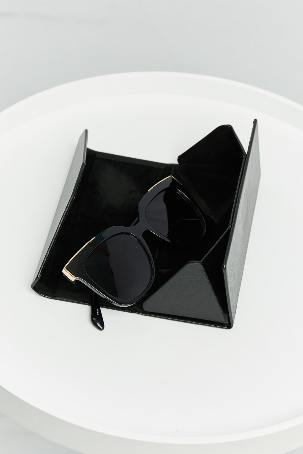 Full Rim Polycarbonate Frame Sunglasses in Wayfare shape, showcasing a stylish design with a protective case.