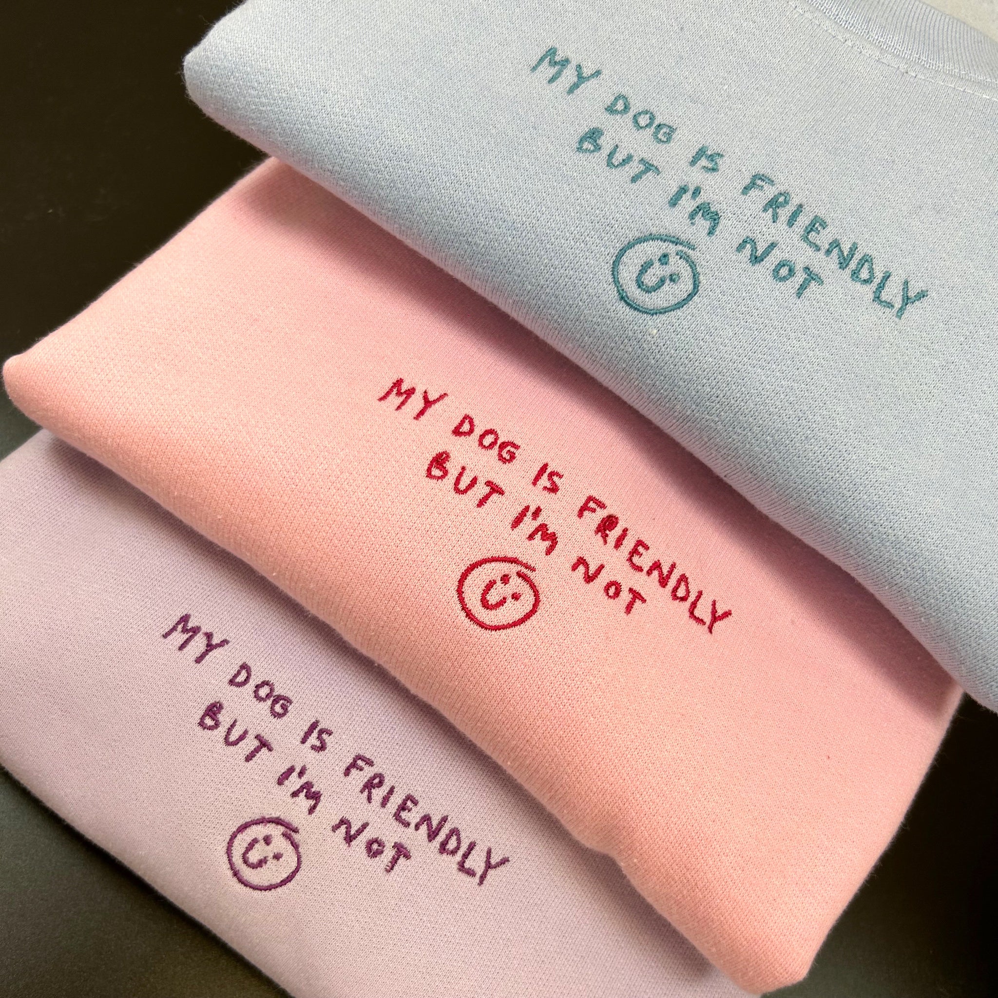 A cozy pastel sweatshirt with the text 'My Dog is Friendly, but I'm Not', perfect for dog lovers and introverts.