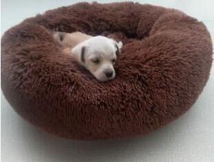 A cozy round dog bed in soft corduroy material, designed for comfort and security, perfect for small to medium-sized dogs.