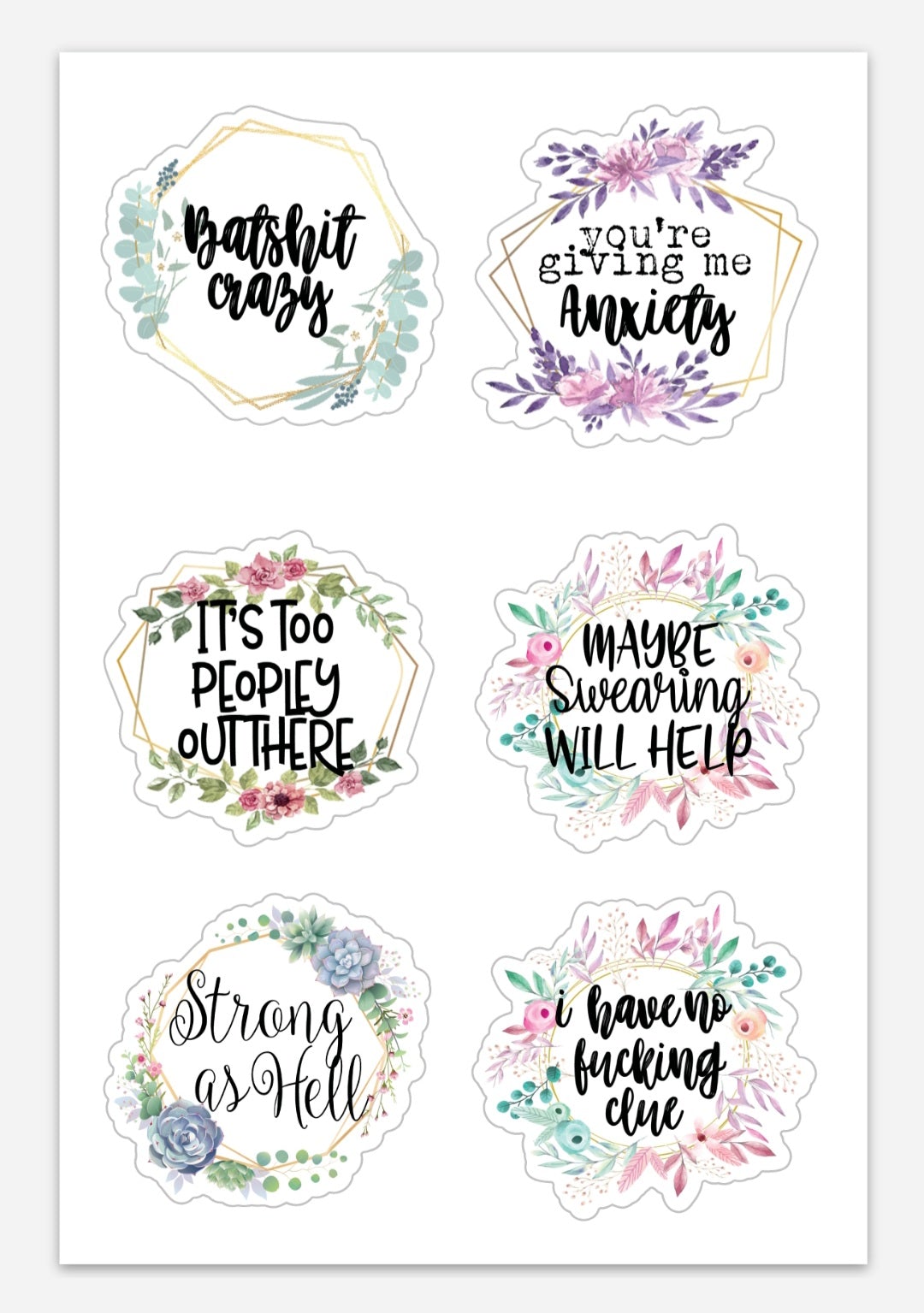 A colorful sheet of 6 humorous sweary stickers, featuring witty phrases and designs, perfect for personalizing items.