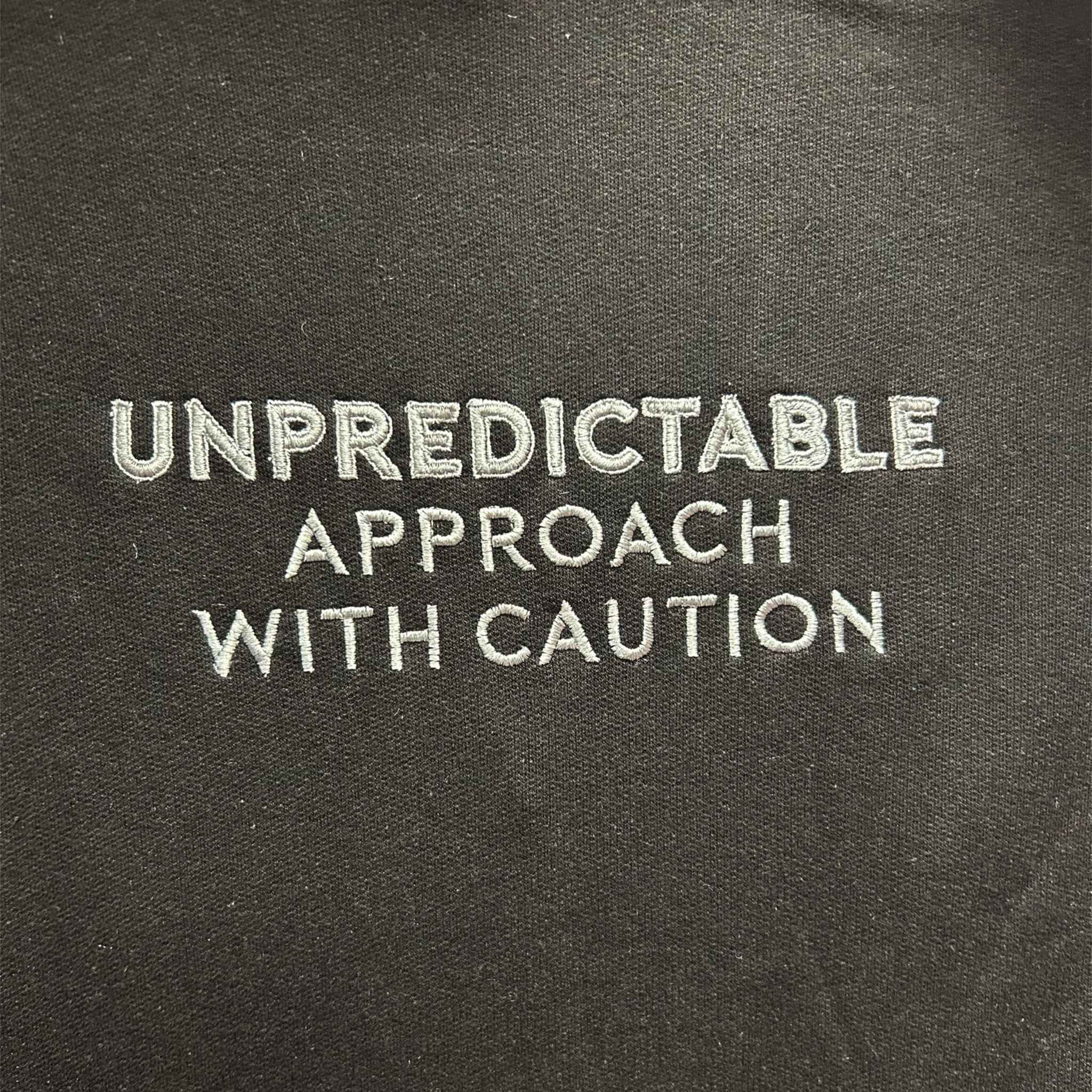 Unpredictable Patch&Pops sweatshirt featuring a classic crew neckline and embroidered embellishments, perfect for casual wear.